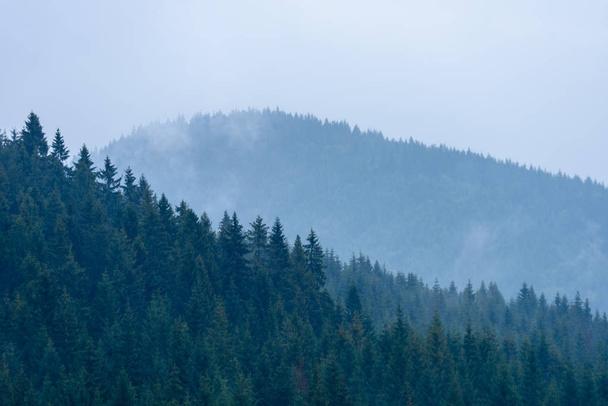 usvainen aamunäkymä märällä vuoristoalueella slovakian tatralla. autu
 - Valokuva, kuva