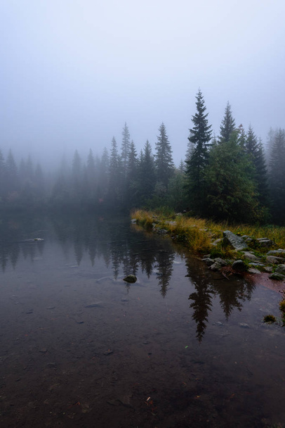 visão da manhã enevoada na área de montanha molhada em tatra eslovaco. Mogão
 - Foto, Imagem