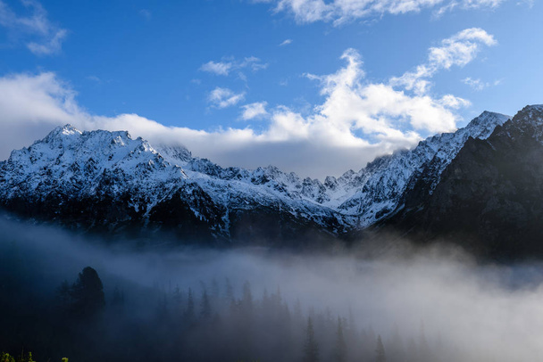 vue matinale brumeuse dans une zone de montagne humide en tatra slovaque
 - Photo, image