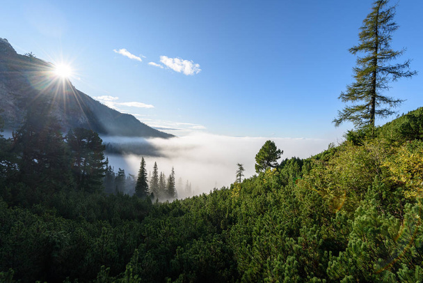 ウェット スロバキアのタトラ山の霧のかかった朝ビュー - 写真・画像