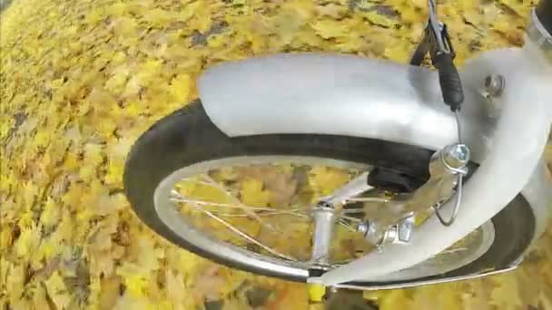 Wheel of bicycle rides on  autumn  city park. Point of view camera filming. - Footage, Video