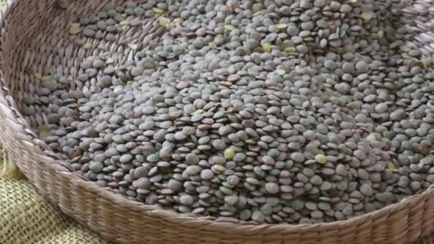 Lens culinaris is scientific name of Lentil legume. Wicker basket with grains. Legumes beans for vegetarian food. - Footage, Video