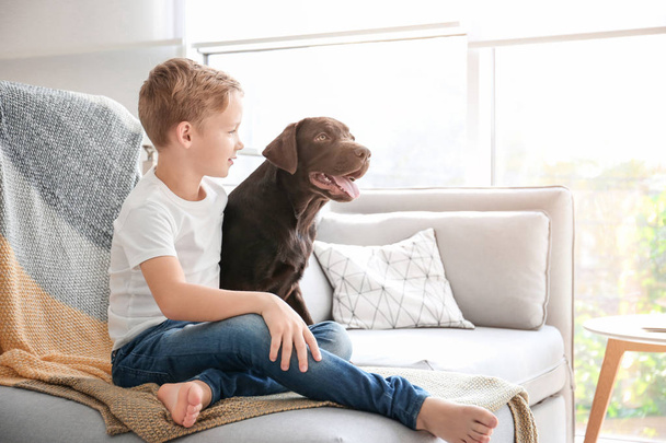 Cute little boy with dog on sofa at home - Valokuva, kuva