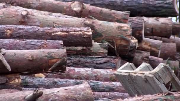 Fából készült esetlen bárok építkezésen - Felvétel, videó