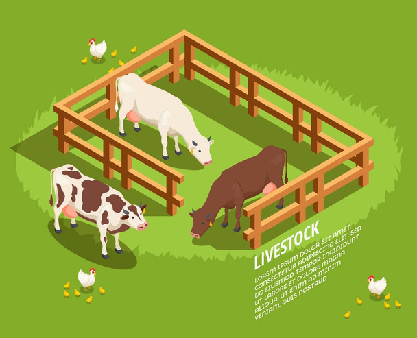 Livestock Isometric Composition - Vector, Image