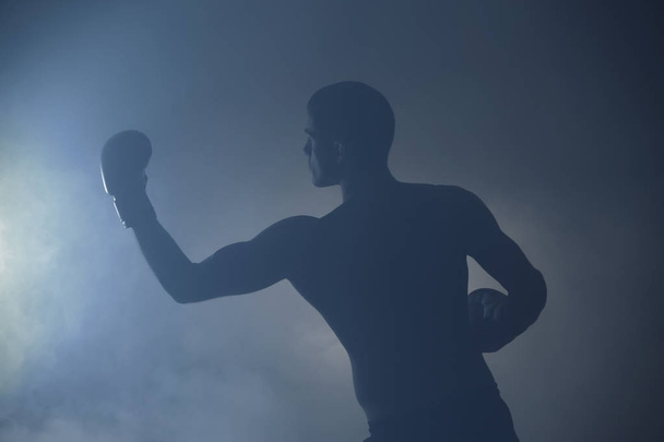 Silhouette of strong male boxer  - 写真・画像