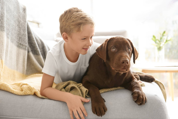 Χαριτωμένο μικρό αγόρι με σκύλο στον καναπέ στο σπίτι - Φωτογραφία, εικόνα