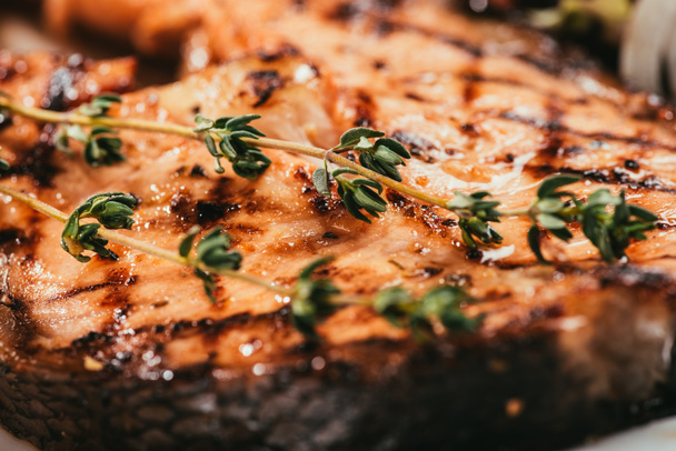 Close-up view of grilled salmon fish with thyme - Photo, Image