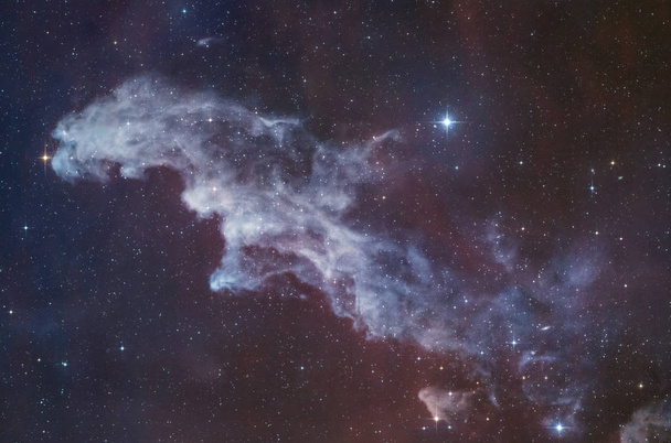 エリダヌス座の方角に魔女の頭星雲 (Ic 2118) - 写真・画像