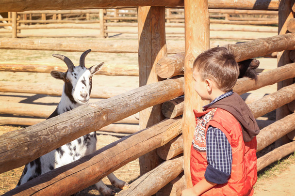 Little boy with goat in zoological garden - Foto, immagini
