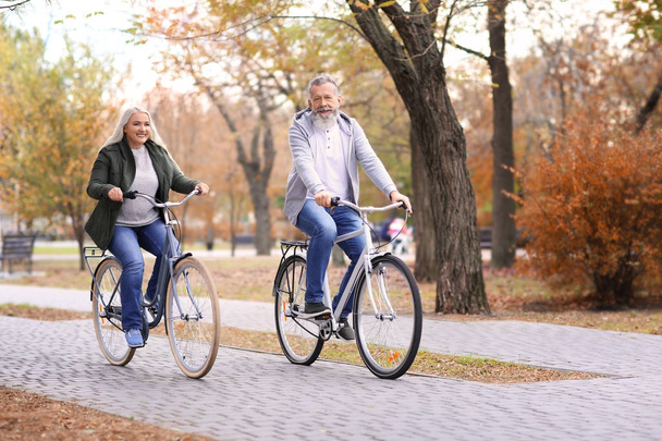 Senior couple riding bicycles in park - Fotografie, Obrázek