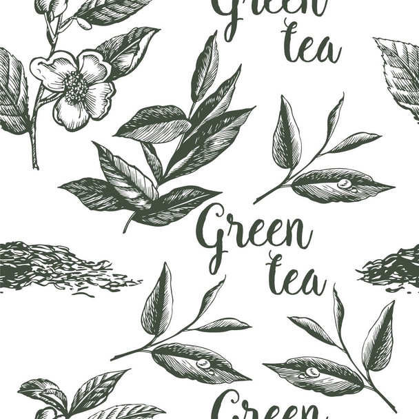 Graphic pattern of Green Tea. Hand drawing. - Vektor, kép