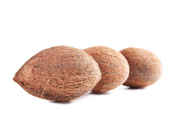 Coconuts isolated on a white - Foto, Imagen