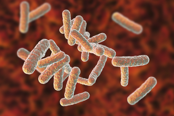 Bacterias patógenas humanas
 - Foto, Imagen