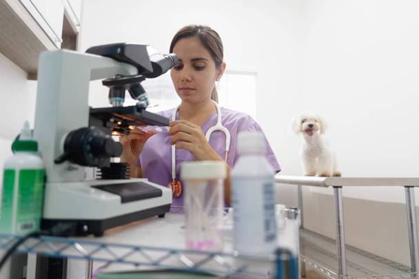 Personal de la clínica con la mujer que trabaja como veterinario en la tienda de mascotas
 - Foto, Imagen