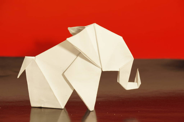origami branco de elefantes. Elefante de papel branco sobre um fundo colorido. Arte japonesa
. - Foto, Imagem