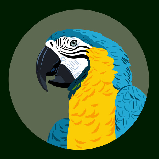 Портрет попугая-ара
  - Вектор,изображение