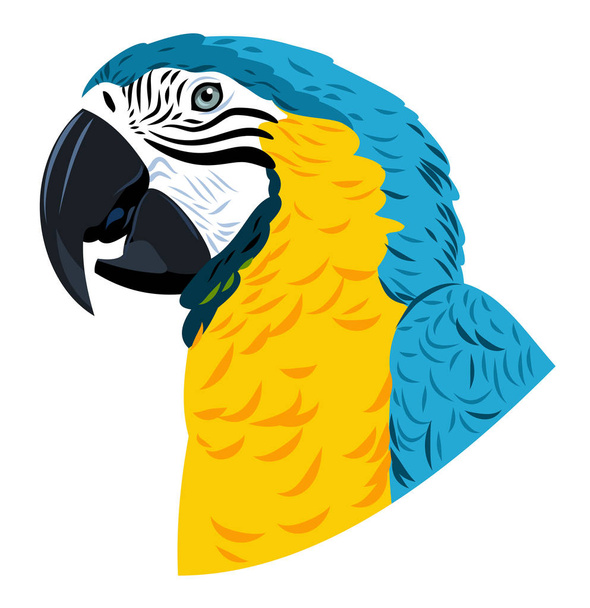 Porträt eines Ara-Papageien  - Vektor, Bild