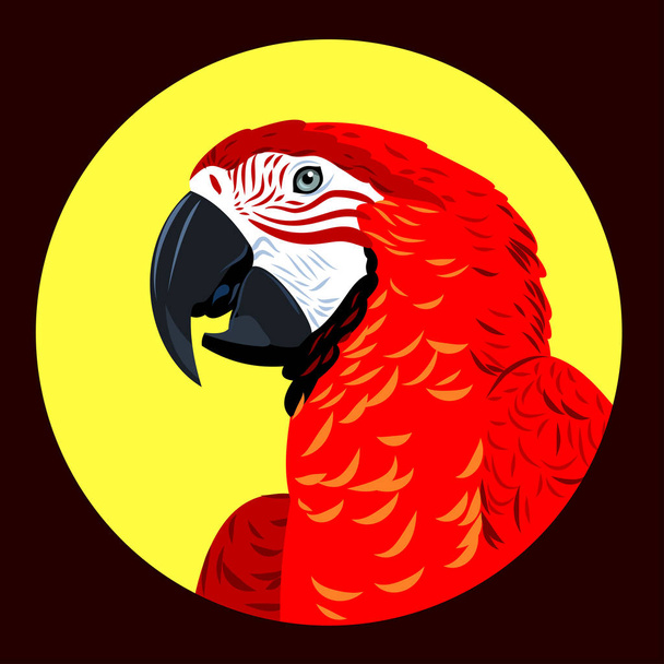 portret papuga Ara  - Wektor, obraz