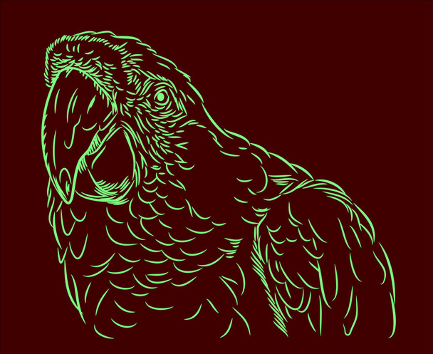 Portrait d'un perroquet aras
 - Vecteur, image
