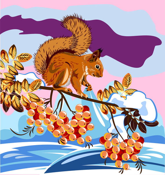 vector portrait of squirrel sitting on a branch of mountain ash - Vector, Image