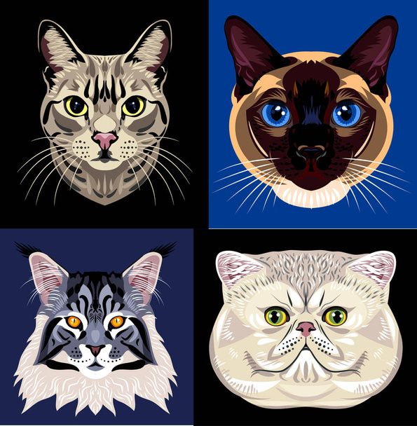 Μια σειρά από πορτρέτα των γατών - Διάνυσμα, εικόνα