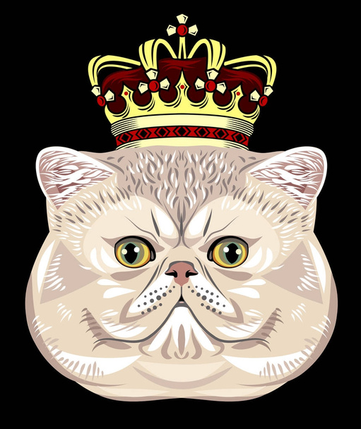 Retrato de un gato persa
 - Vector, imagen