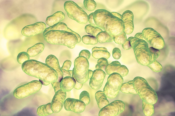 Ilustración de bacterias Prevotella
 - Foto, imagen