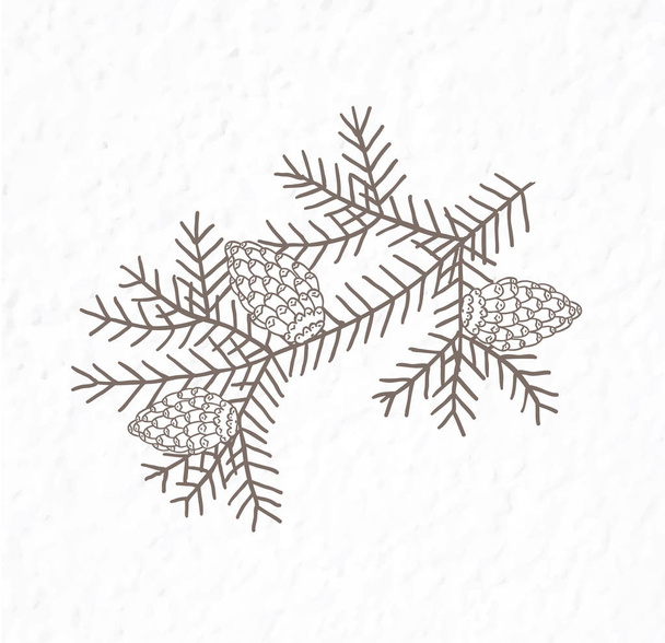 Spruce branch with bumps. Minimalist scandinavian style. - Vector, afbeelding