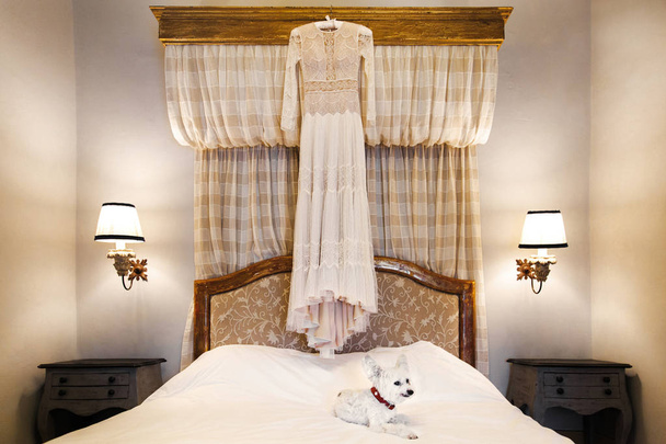 Vestido de noiva pendurado na cama no quarto e bonito cão branco
 - Foto, Imagem