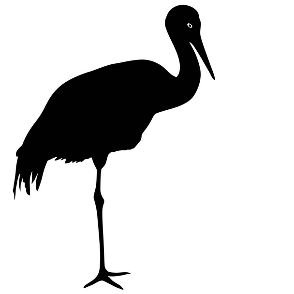 Silhouette bird crane on a white background - Vector, Image