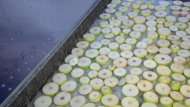 Φέτες αποξηραμένα μήλα στον ιμάντα μεταφοράς. Ξήρανση σε βιομηχανικό φούρνο μικροκυμάτων. Αργή κίνηση - Πλάνα, βίντεο
