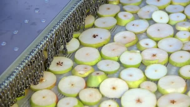 Φέτες αποξηραμένα μήλα στον ιμάντα μεταφοράς. Ξήρανση σε βιομηχανικό φούρνο μικροκυμάτων. Αργή κίνηση - Πλάνα, βίντεο