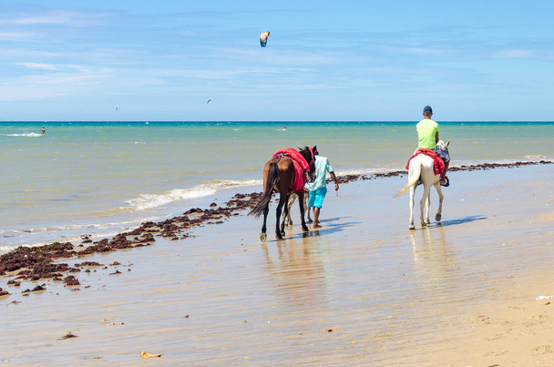 Рысачие лошади на пляже в Кумбуко
  - Фото, изображение
