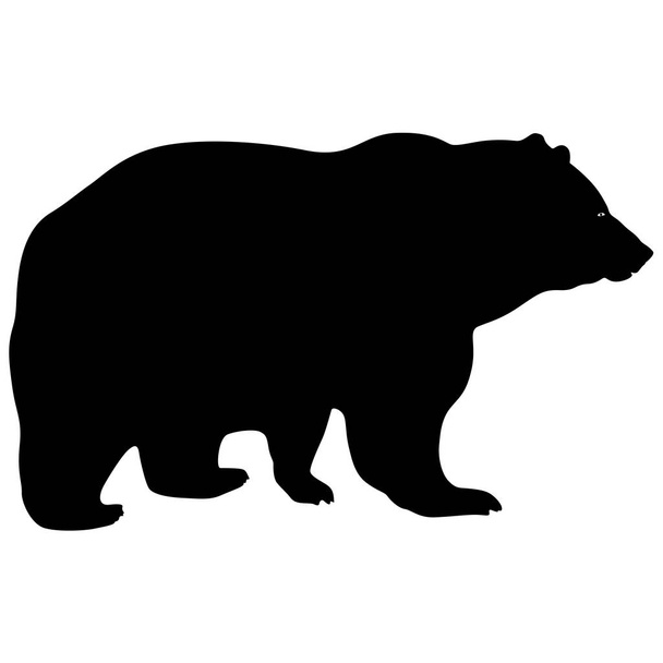 Silhouette brown bear on a white background - Vector, Image