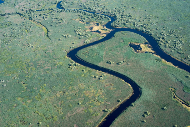 Vista aérea del Delta del Danubio sobre la naturaleza única
 - Foto, Imagen