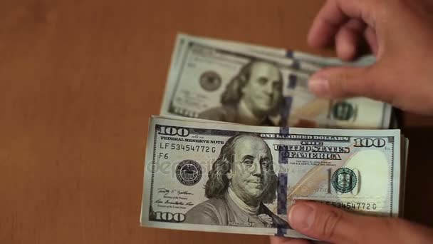 Dollars in female hands - Felvétel, videó