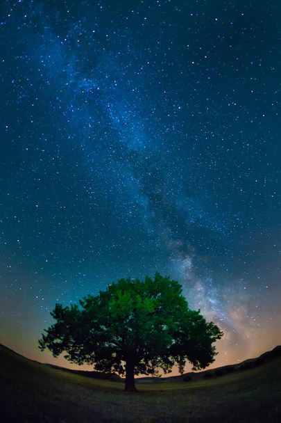 Linnunrata yksinäisen puun yläpuolella tähtisessä yössä
 - Valokuva, kuva