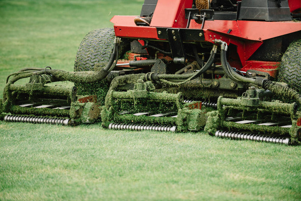 Golf course maintenance equipment, fairway mower - Photo, Image