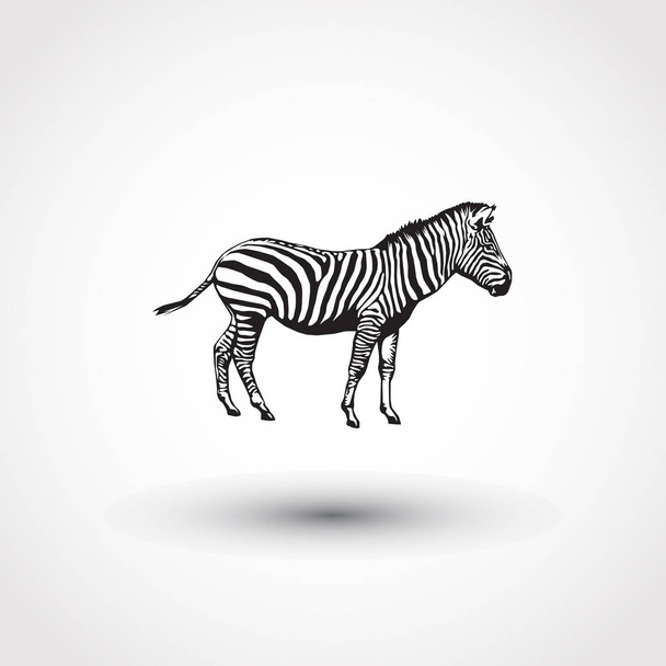 icône d'animal vecteur zèbre
 - Vecteur, image