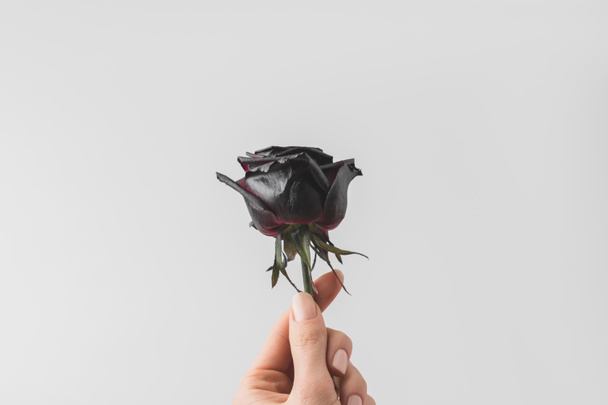enfoque selectivo de la mujer celebración de color en negro en la mano aislado en blanco
 - Foto, Imagen
