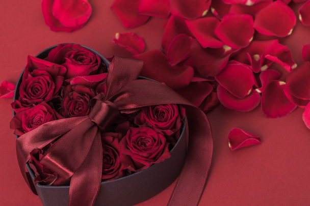Nahaufnahme von Rosen in herzförmiger Geschenkschachtel mit Band und Blütenblättern isoliert auf rot, st Valentinstag Urlaubskonzept - Foto, Bild