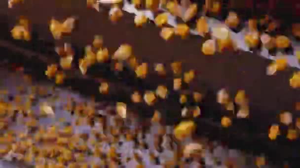 Dent kukorica szemek mag elválasztó rázógépen gabonafélékre - Felvétel, videó