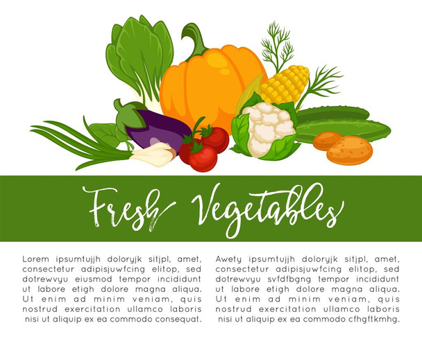 Organic vegetables food poster background template for dietary vegetarian eating or vegan diet. Vector vegetable and farm veggies radish, tomato and pepper or lettuce salad and cauliflower cabbage - Wektor, obraz