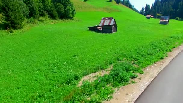 nad hlavou letecký panoramatický pohled na alpské louky v letní sezóně, video - Záběry, video