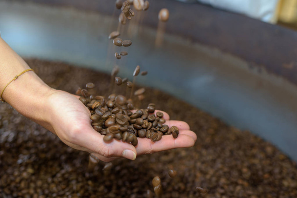fresh roasted coffee beans - Foto, imagen