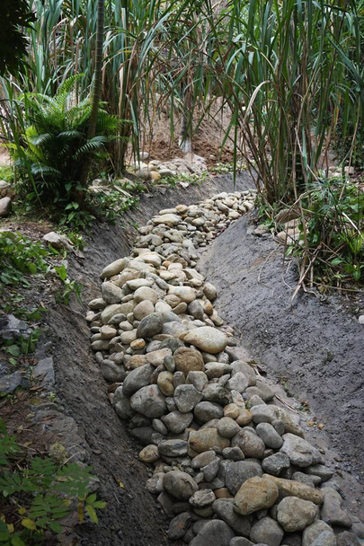 Cama de arroyo seco lleno de rocas que fluyen a través del bosque
 - Foto, imagen