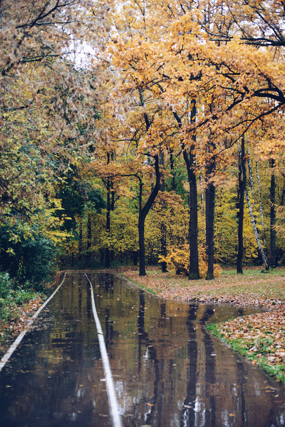 Autumn park landscape - Φωτογραφία, εικόνα