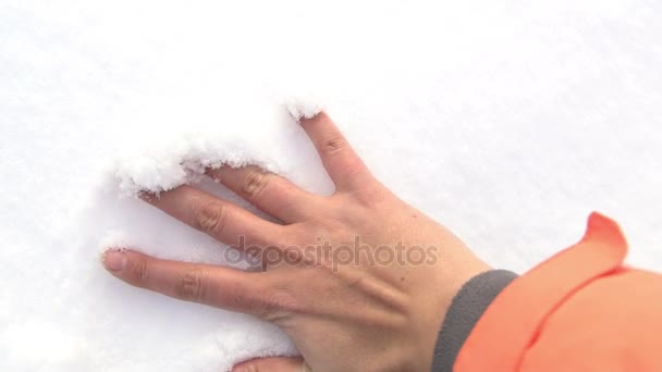 female Hands touching snow, white winter background - Metraje, vídeo