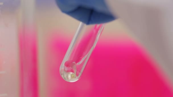 Primer plano biotecnólogo vierte líquido puro en el vial de vidrio en laboratorio químico
 - Metraje, vídeo
